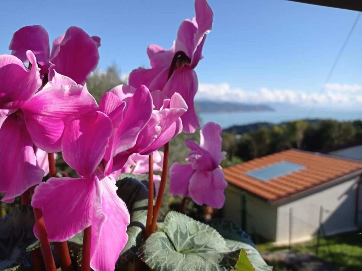 Le Vigne Di Lenf Lägenhet Porto Venere Exteriör bild