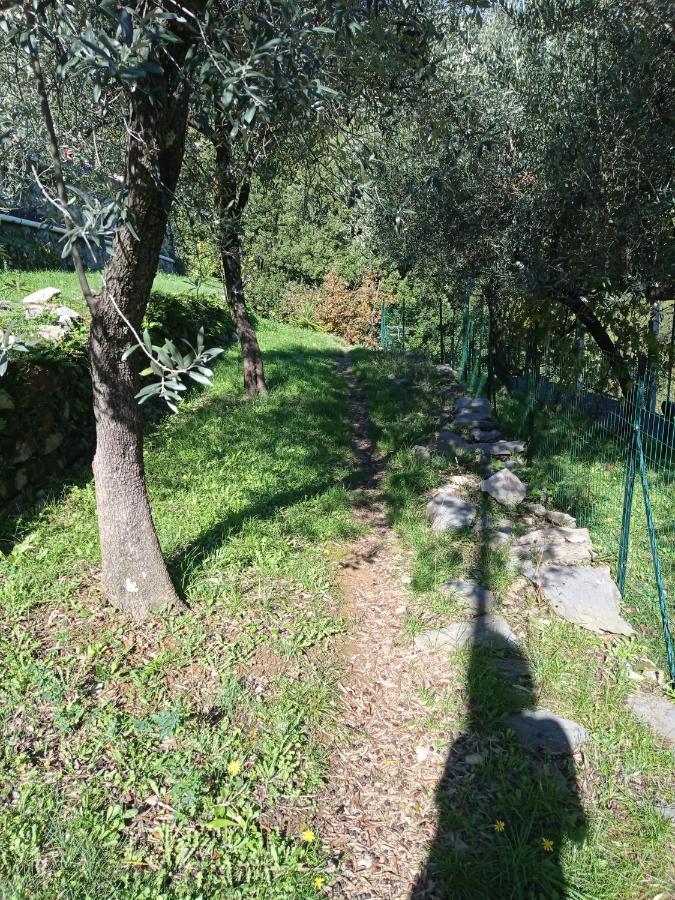 Le Vigne Di Lenf Lägenhet Porto Venere Exteriör bild